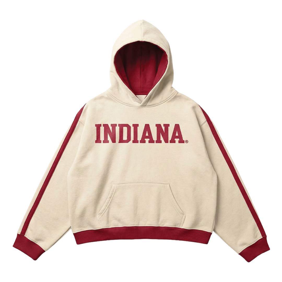 AI_INDIANA_MOCK_UP_4_1.png